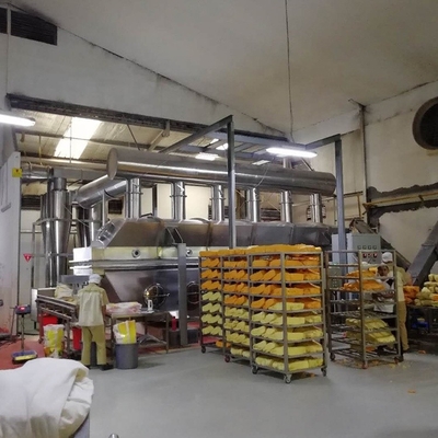 450V Horizontal Vibration Fluid Bed Dryer Peralatan Pengeringan Farmasi Kimia