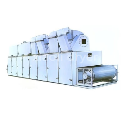 DW Series Single Layer Continuous Mesh Belt Dryer Mesin Pengeringan Industri Untuk Dehidrasi Makanan
