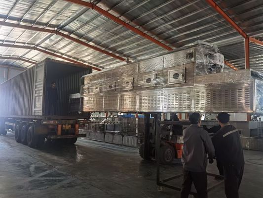 Stainless Steel Belt Continuous Microwave Dryer Sterilisasi Conveyor Dryer Machine