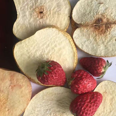 OEM ODM Peralatan Pengeringan Beku Vakum Makanan Hewan Pengering Sayuran Dan Buah-buahan