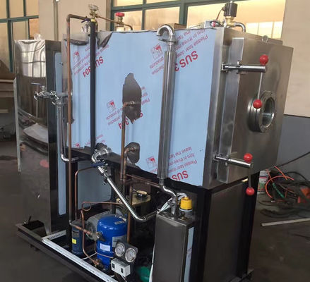 OEM ODM Peralatan Pengeringan Beku Vakum Makanan Hewan Pengering Sayuran Dan Buah-buahan