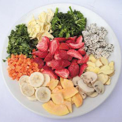 Mesin Pengering Beras Sayuran Makanan Instan Besar Ruang Vakum Kering Beku Otomatis Besar