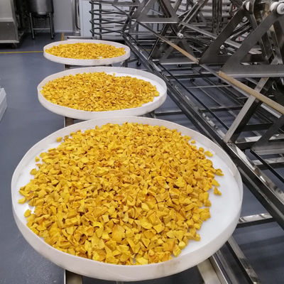 9KW Pendingin Udara Buah Dan Sayuran Pengering Vakum Microwave Pengeringan Oven